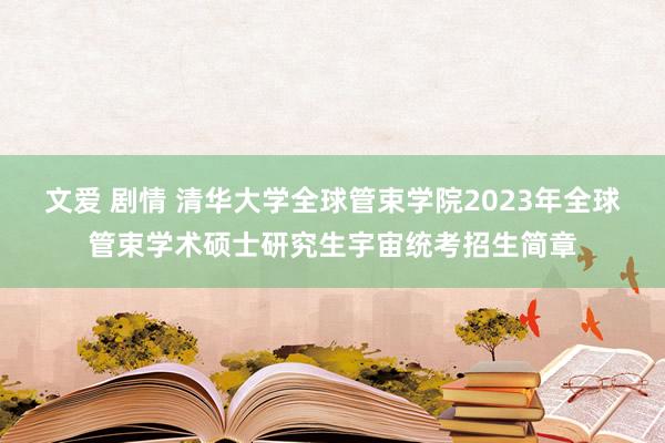 文爱 剧情 清华大学全球管束学院2023年全球管束学术硕士研究生宇宙统考招生简章