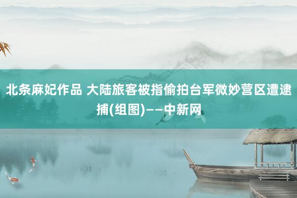 北条麻妃作品 大陆旅客被指偷拍台军微妙营区遭逮捕(组图)——中新网